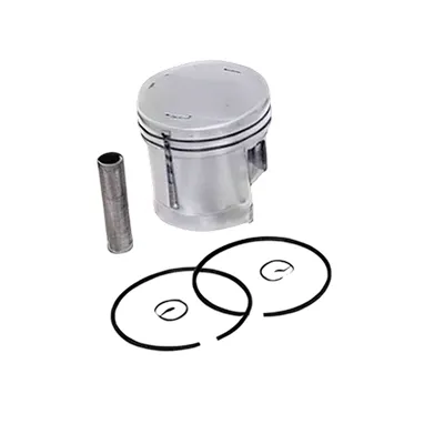 HP4S-19 PISTON WITH RING ASS.(4S) H.P. SPRAYERS - Almighty Agrotech Spare Part
