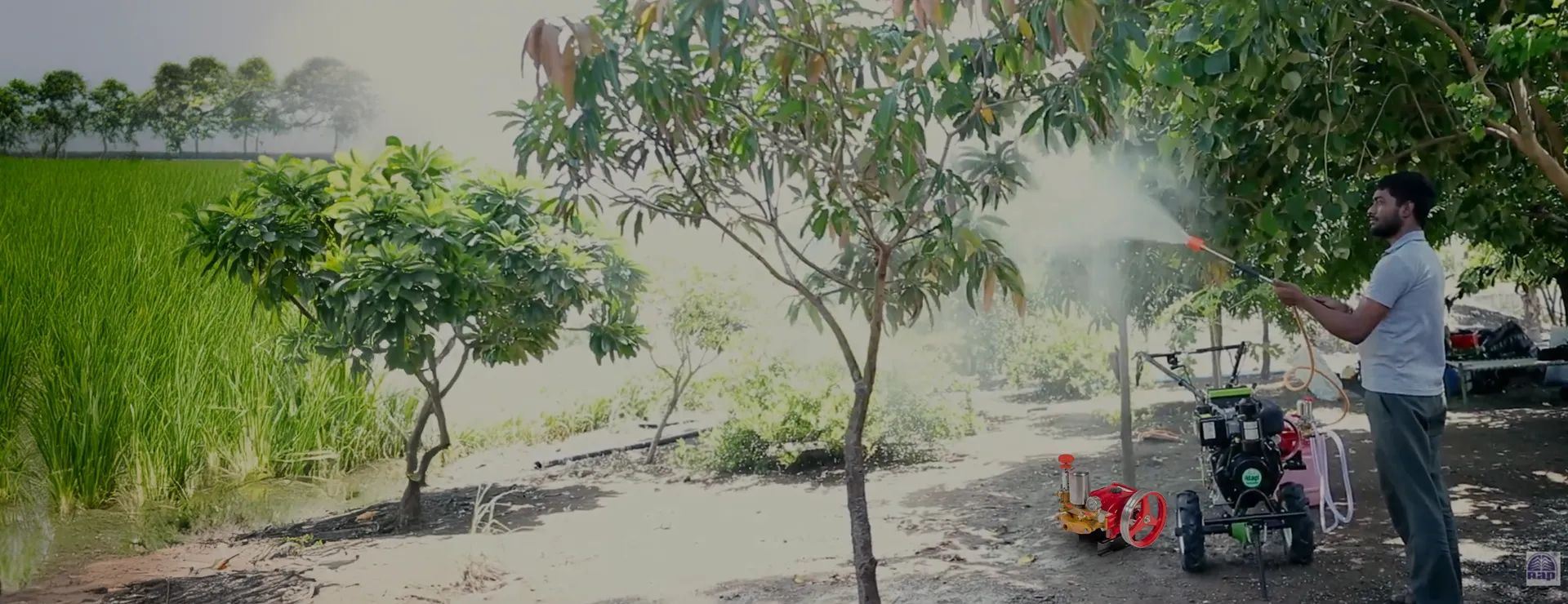 Orchard being sprayed with an ALAP HTP power sprayer and trolley unit