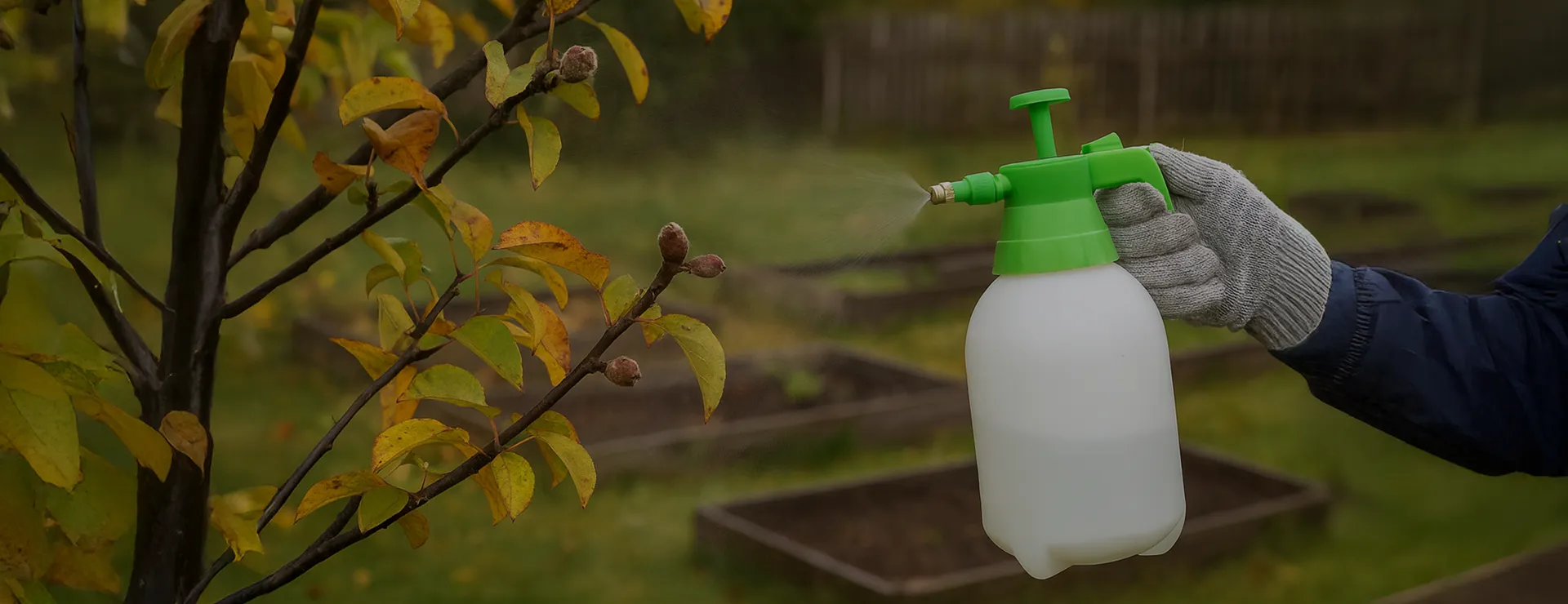 Hand-held ALAP manual pressure sprayer being used on a garden plant