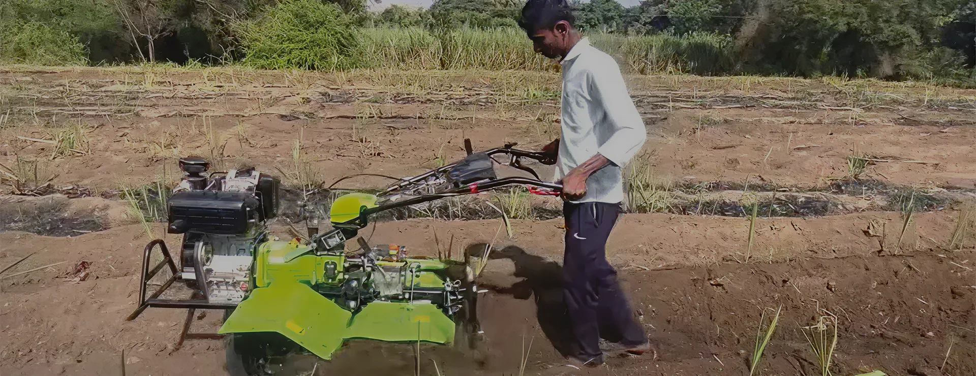 Farmer tilling soil between crop rows with an ALAP power weeder